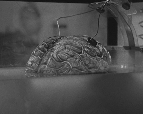 Donovan's Brain (1953)