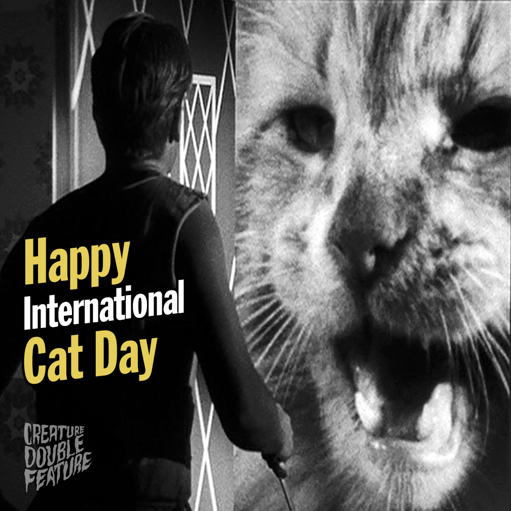 Happy International Cat Day 2024!