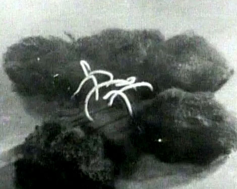 The Brain Eaters (1958)movie still